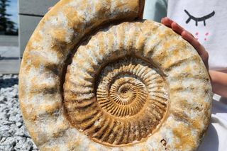 Warsaw Mineral Expo. Mamy darmowe bilety dla Czytelników Super Expressu!