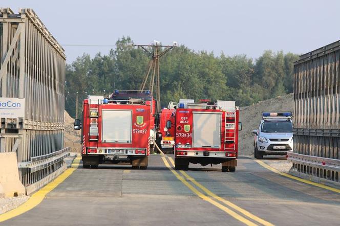 Pożar na północy Wrocławia. Zagrożonych było nawet 40 hektarów