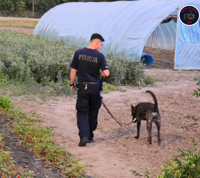 Pijacki rajd na Rajdowej. Totalna demolka