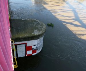 Fala kulminacyjna na Odrze. Wiemy, jaki będzie jej bieg. Prognoza IMGW