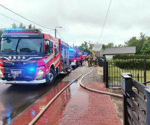 Bohaterska akcja strażaków. Z płonącego budynku wynieśli dwa koty i psa. Rodzina straciła cały dobytek