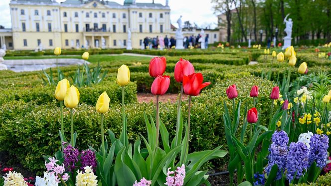 Park Branickich w Białymstoku