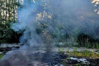 Susz: Opalała kable, by zarobić na nich w skupie