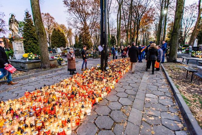 Łódź. W sobotę kwesta na Starym Cmentarzu i sprzątanie zabytkowych pomników