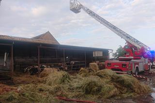 Pożar budynków gospodarczych w Wolkowie