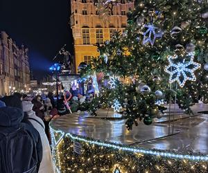 Gdańska choinka rozbłysła. Zobaczcie nasze zdjęcia!