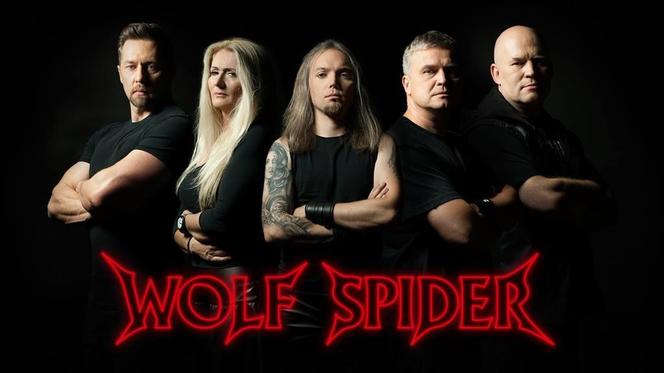 Wolf Spider/Wilczy Pająk 