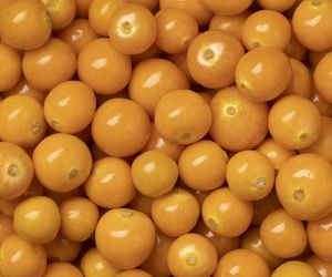 Spalaj tłuszcz i zadbaj o drogi moczowe. Ta jagoda to superfood