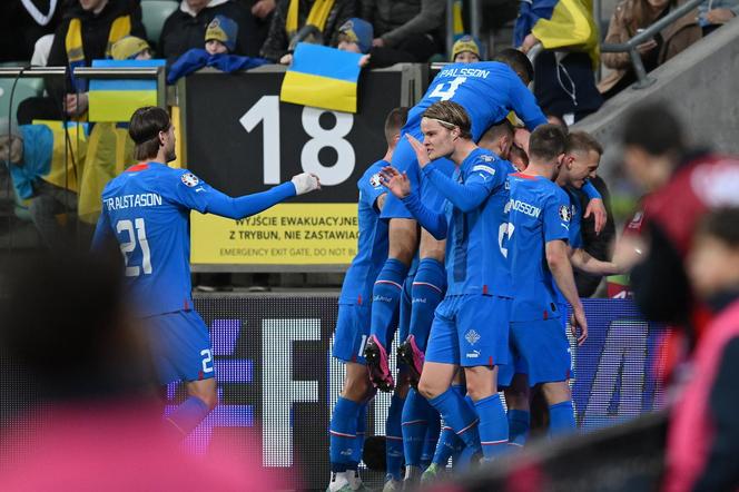 Osiem osób zatrzymanych po meczu Ukraina - Islandia. Policja: "Można powiedzieć, że było bezpiecznie"