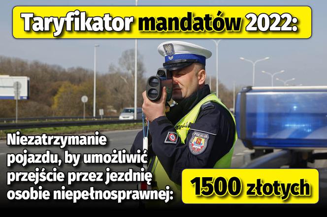 Taryfikator mandatów 2022 