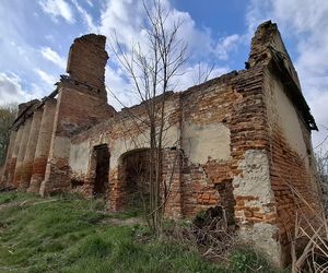 Wiosenny zespół pałacowo-parkowy w Zawieprzycach koło Lublina