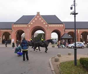 Cmentarz Centralny podczas Wszystkich Świętych