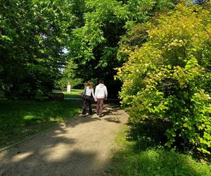 Park Miejski w Zamościu