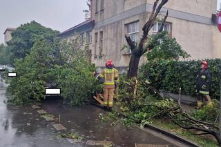 Połamane drzewa, uszkodzone dachy i samochody. To obraz po nawałnicach, które przeszły przez Tarnów i region 