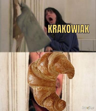 Krakowski lagun to prawdziwy FENOMEN! [MEMY]