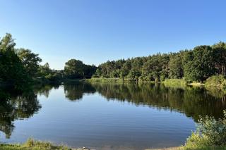 Wyjątkowe miejsce w Poznaniu. Staw Młyński i użytek ekologiczny Łęgi Potoku Różanego