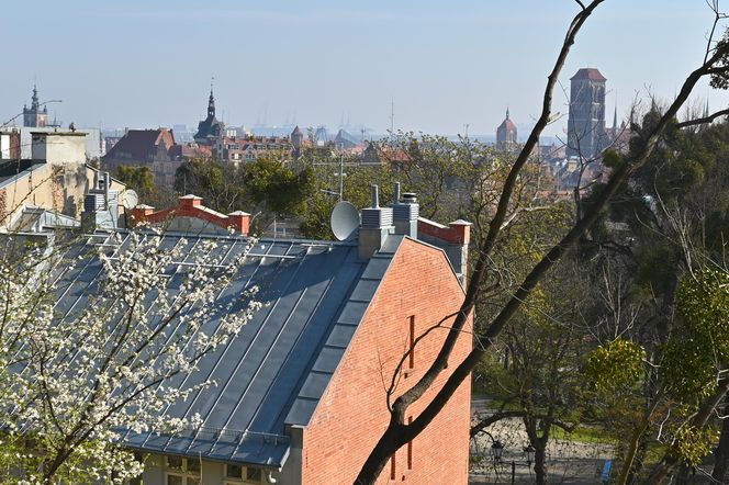 Biskupia Górka w Gdańsku