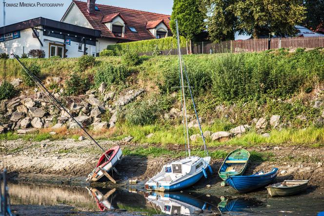 Susza w Jeziorze Żywieckim