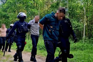 Ustawka udaremniona! Policjanci gonili kiboli po lesie!