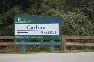 Netflix przypomina historię Gabby Petito. Tą sprawą żył cały świat