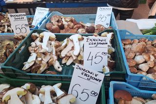 Ceny grzybów na Nowym i Starym Kleparzu w Krakowie