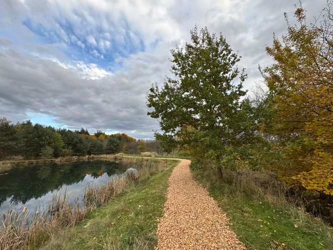 Serenity Park w Mysłowicach to nowe miejsce wypoczynku na Śląsku