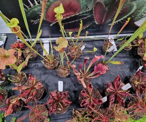 Egzotyczny świat zawitał do Bydgoszczy! ZooEgzotyka 2025 i Targi Akwarystyki przyciągnęły tłumy