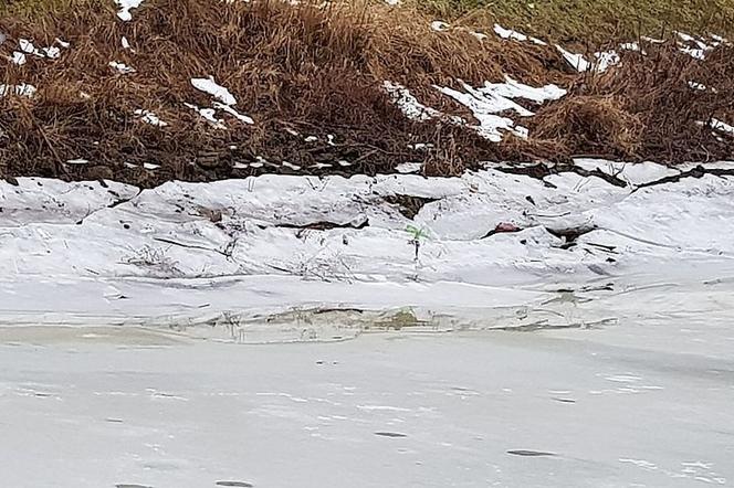 Puławy: pod 13-latkiem załamał się lód. Uratował go 27-latek