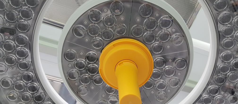 Pierwsza na Podlasiu sala hybrydowa