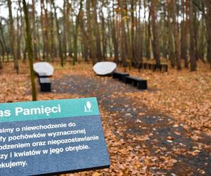 Na cmentarzu junikowskim powstał Las Pamięci