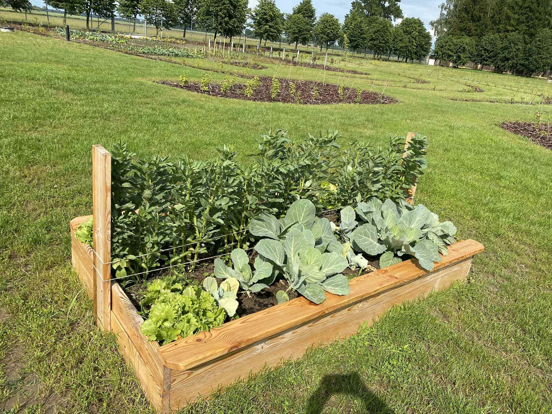 Wyjątkowe miejsce w Wólce Konopnej. Farma toMy dla osób z niepełnosprawnością