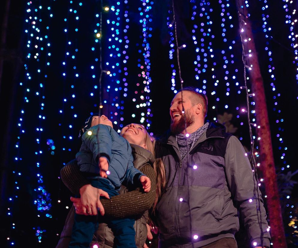 Śląsk zamienia się w Krainę Czarów. Ta magiczna wystawa świateł to absolutny hit jesieni i zimy