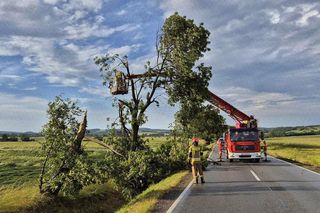 Dolnośląskie. Burze wyrządziły wiele szkód w regionie. Tak wyglądają okolice Jawora [ZDJĘCIA].