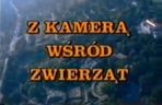 PRL-owskie programy telewizyjne