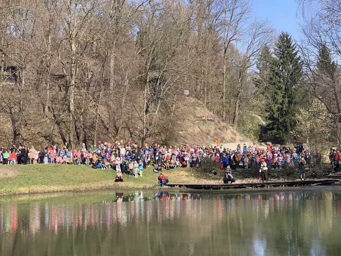 Lublinianie pożegnali zimę i powitali wiosnę! W Ogrodzie Botanicznym odbyło się topienie Śmiercichy