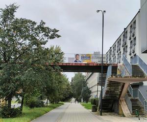 Łódź tonie w plakatach wyborczych. Kto jest odpowiedzialny za ich późniejsze usunięcie?