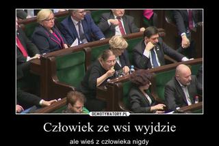 Krystyna Pawłowicz je w Sejmie MEMY