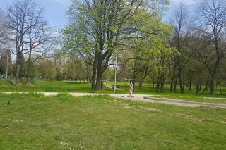 Prace w Parku Grabek w Czeladzi