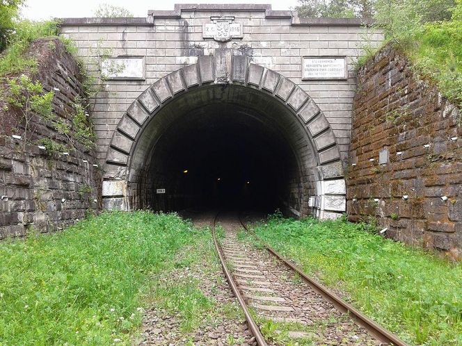 To najpiękniejszy tunel na Podkarpaciu według sztucznej inteligencji 