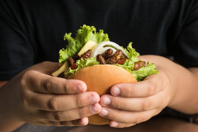 Jadalne owady – nowa moda czy zdrowa dieta?