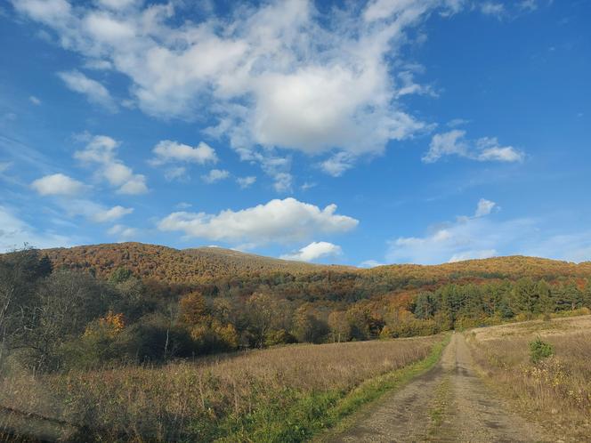 Bieszczady jesienią [GALERIA]