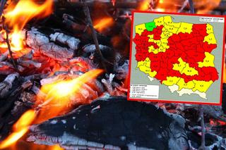 Duże zagrożenie w polskich lasach! Straż apeluje o ostrożność