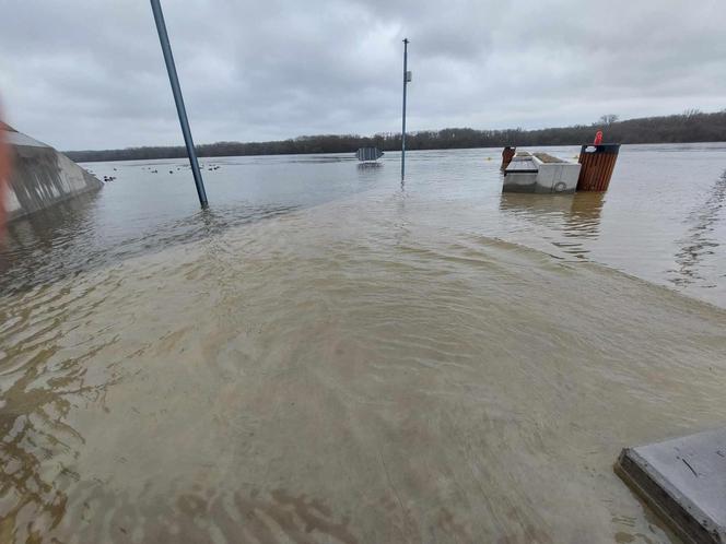 Wysoki stan Wisły w Fordonie. Pod wodą są śmietniki, ławki i donice na bulwarze