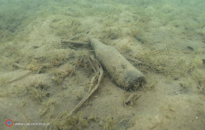 jezioro Tarnobrzeskie Niezwykła akcja płetwonurków