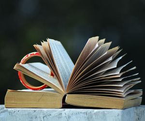 QUIZ. Słowa, które zaraz wszyscy zapomną. Wykaż się elokwencją i uzbieraj 12/15