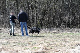 Poszukiwania Beaty Klimek