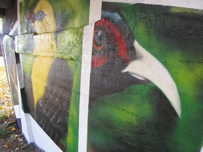 W rejonie Lisiej Góry w Rzeszowie powstał nowy mural. Jest piękny!