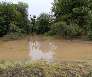 Ząbkowice Śląskie (woj. dolnośląskie)