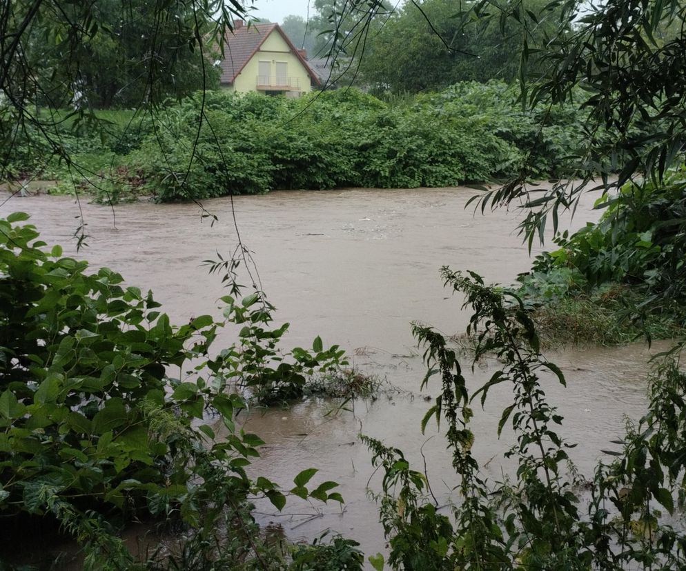 Ulewne deszcze na Śląsku. Trudna sytuacja na Żywiecczyźnie