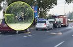 Potworny wypadek w Płocku. Wypadli z drogi, uderzyli w drzewo. Dwoje ludzi spłonęło w samochodzie	